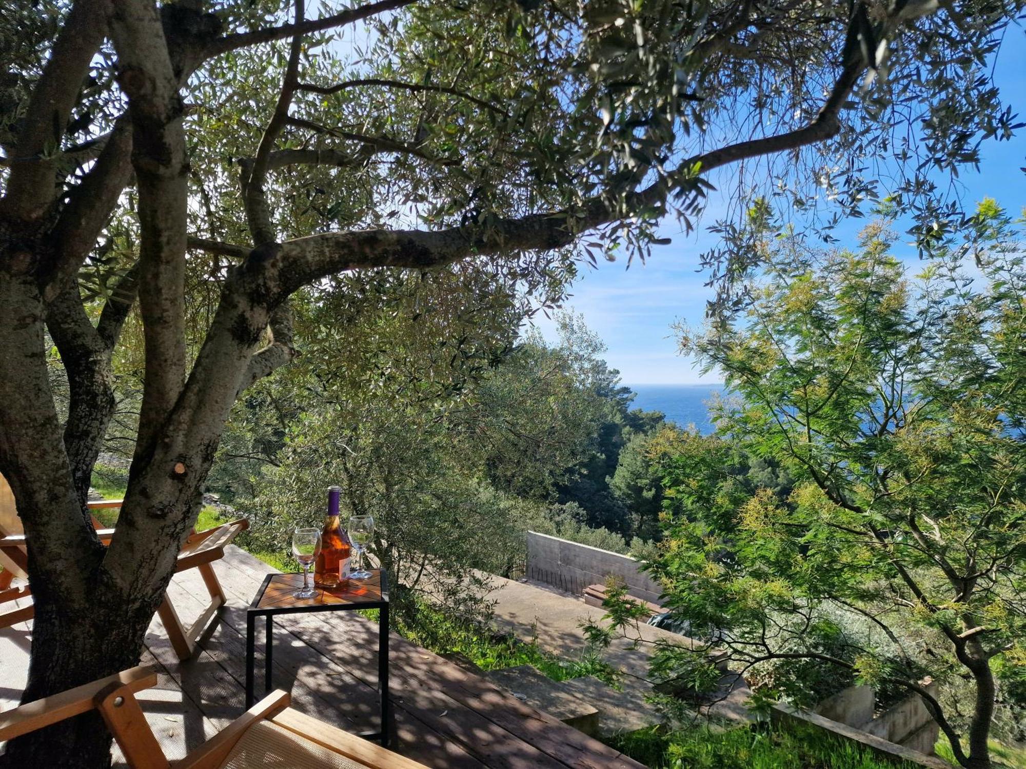 Holiday Home Maslinova Vela Luka Bagian luar foto