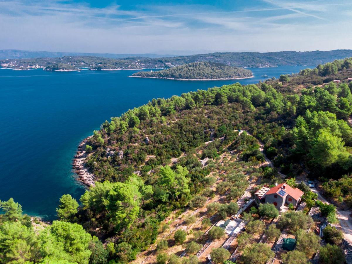 Holiday Home Maslinova Vela Luka Bagian luar foto