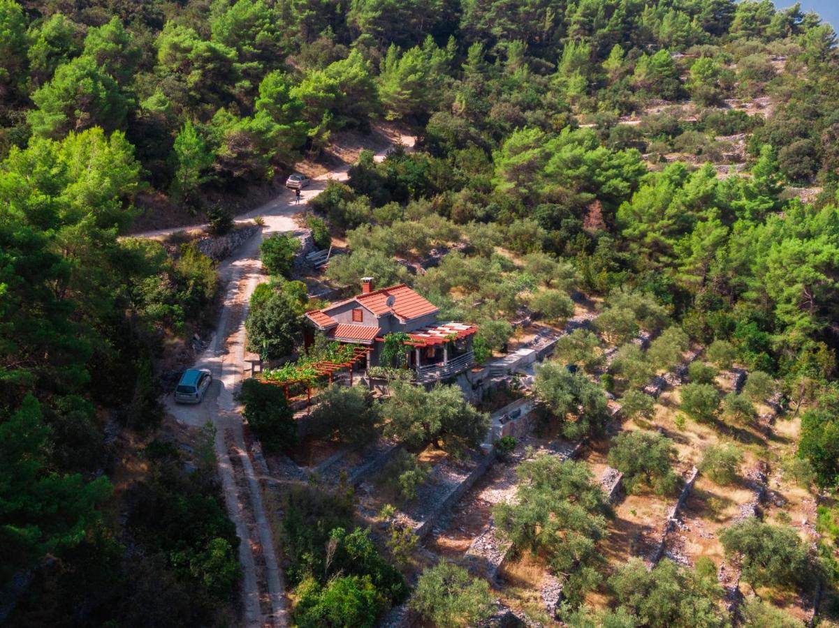 Holiday Home Maslinova Vela Luka Bagian luar foto