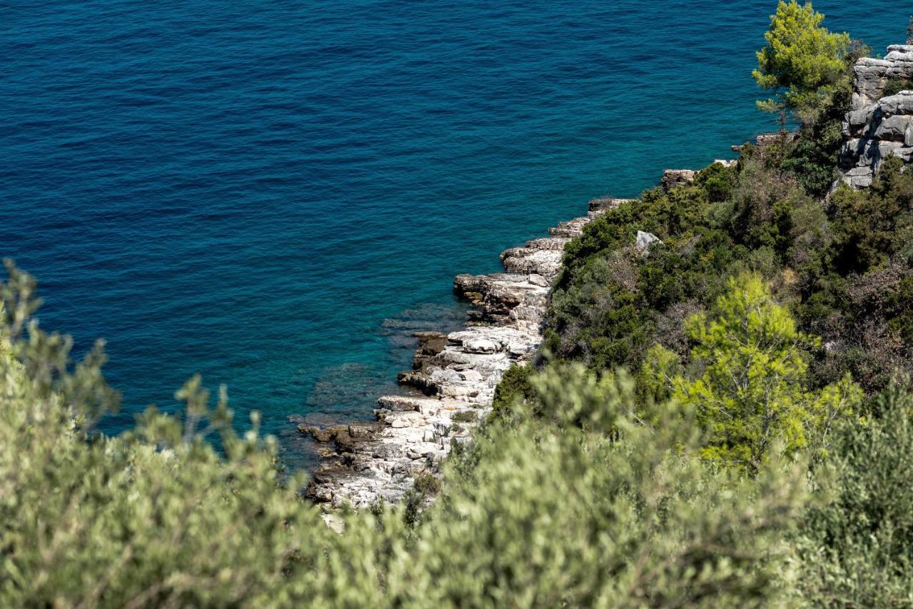 Holiday Home Maslinova Vela Luka Bagian luar foto